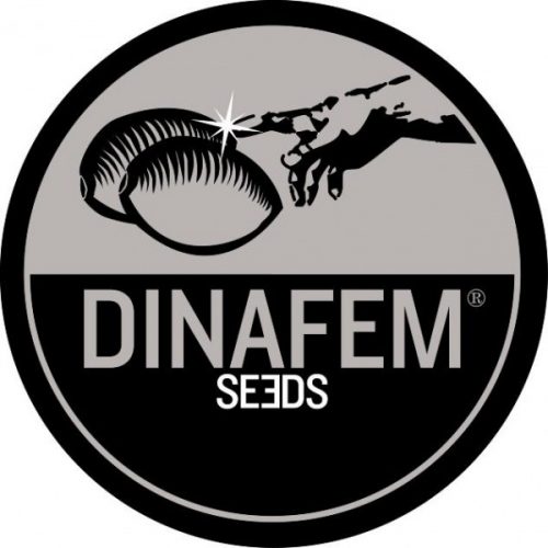 Dinafem Medical Seeds
