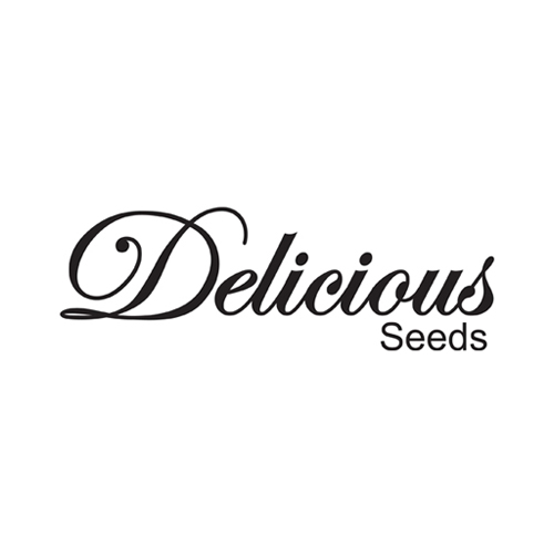 Delicious Seeds CBD
