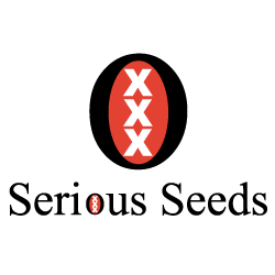 Serious Seeds Reg