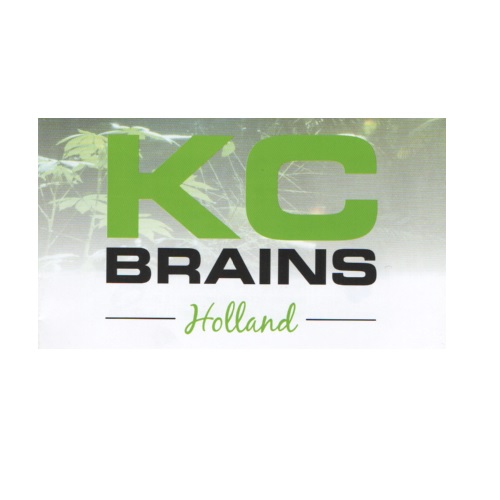 KC Brains Holland