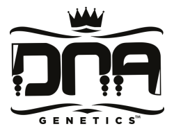 DNA Genetics